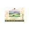 Magnani 1404 Arte Moderna Mixed Media Pad, 140 lb (300gsm), 100% Cotton, Extra White, Vegan-Sized Mixed Media Paper for Wet and Dry Art, Absorbent, Acid-Free and UV Resistant